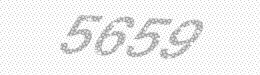 Visual security code — type the characters shown in the image